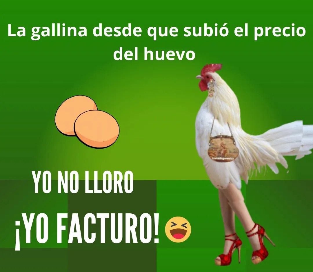 Etiqueta \, image size:1080x937